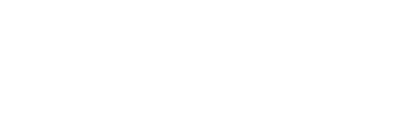 Wildberry Village Logo